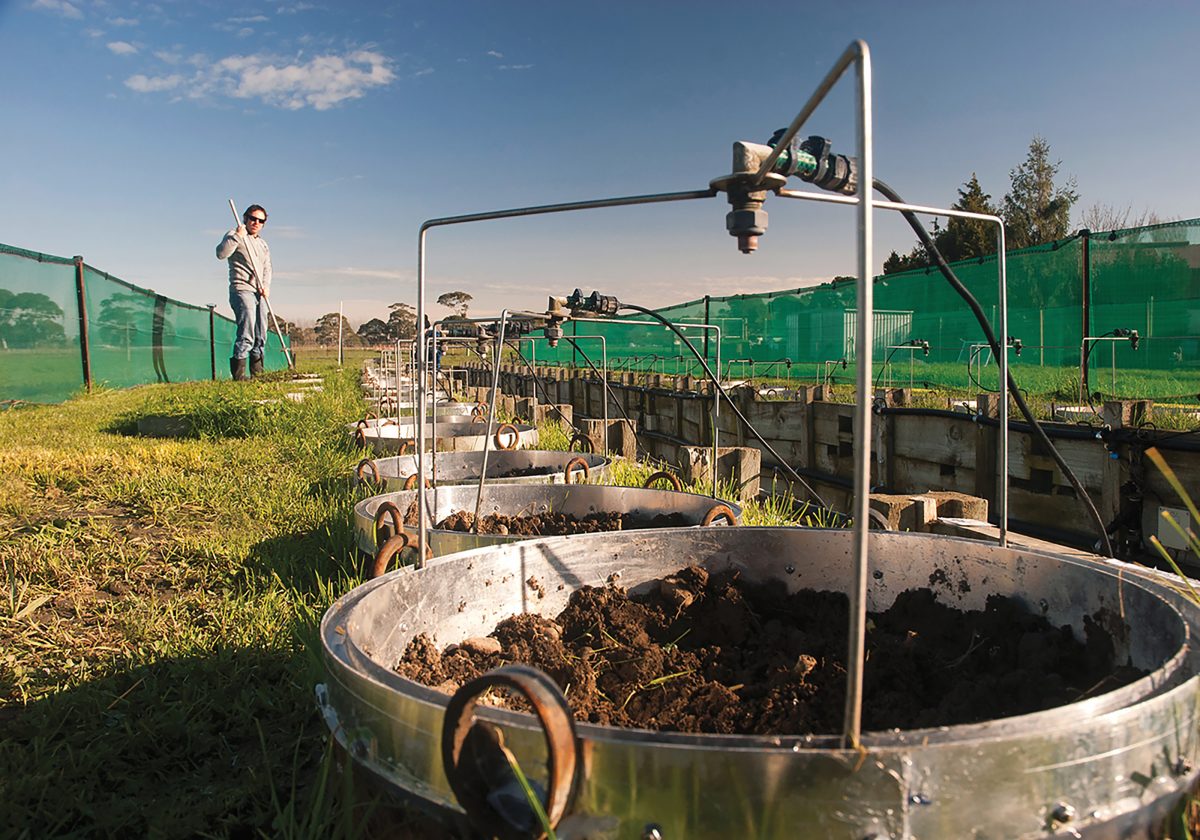 Centre for Soil and Environmental Research (CSER)